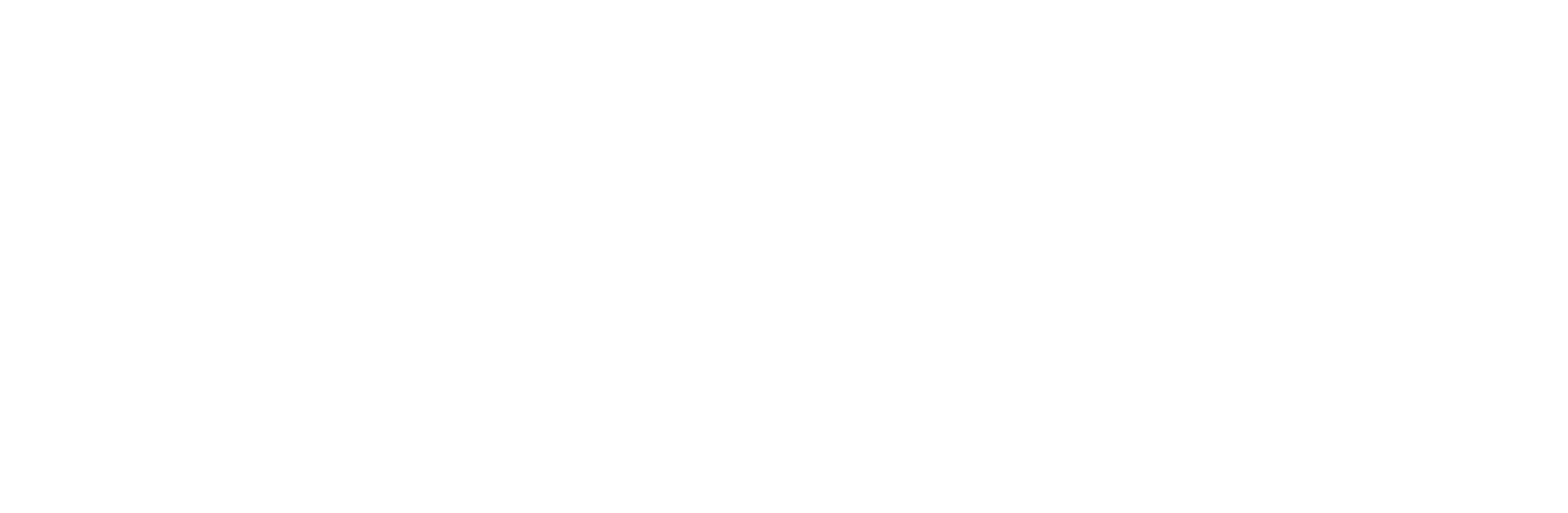 ZYAVA logo